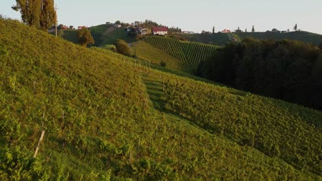 droneshot-of-a-wineyard-in-south-styria
