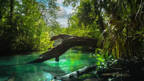 Weeki-Wachee-Springs-State-Park-river-in-Florida