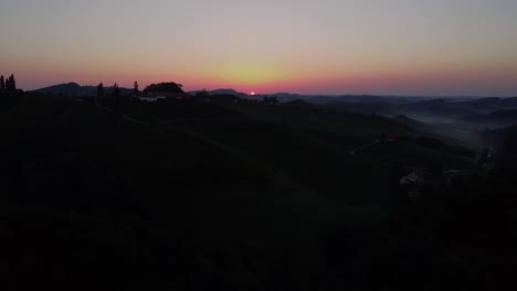 grapevine-field-in-styria-Austria-sunset-golden-hour