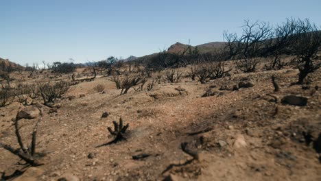 Burned-land-devastating-by-fire-in-Spain,-climate-change,-global-warming