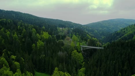 Grüner-Wald-In-Österreich-Mit-Einer-Brücke-Dahinter