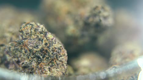 Macro-rotating-video-of-a-cannabis-plant,-hybrid-strains,-crisp-sativa,-marijuana-flower-in-a-clear-glass,-purple-haze,-4K-video,-studio-lighting,-magical-blur,-smooth-movement