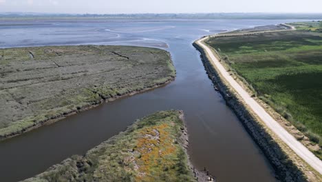 Vista-Aérea-De-La-Ría-De-Aveiro-Cerca-De-Veiros,-Estarreja-Con-Humedales-Vívidos