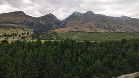 Beech-forests-canopy-and-South-Island-alps-of-New-Zealand-near-Glenorchy