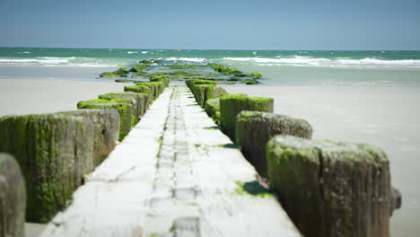 Der-Weg-Führt-Hinauf-Zu-Leuchtend-Grünen,-Moosbedeckten-Felsen-Am-Strand