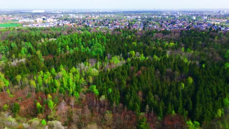 Amplia-Vista-Aérea-Del-Bosque-Que-Se-Encuentra-Con-El-Borde-Urbano.