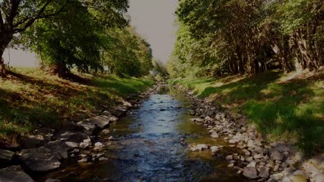 River-with-stones-and-trees-byside-cinematic-droneshot