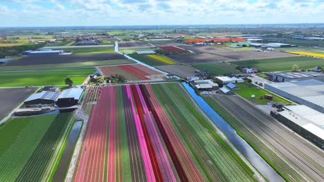 Wolken-Ziehen-Und-Werfen-Schatten-über-Bunte-Blumenfelder