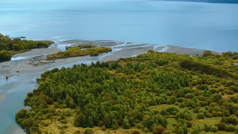 Aerial-establishing-overview-of-beech-forest-lining-glacial-floodplain-delta-at-Lake-Wakatipu