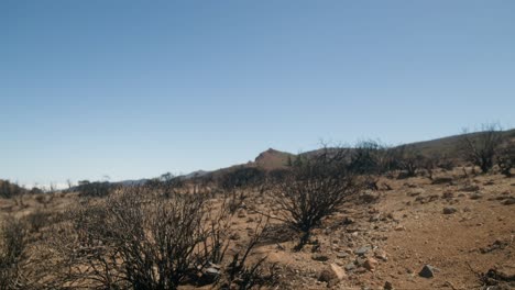 Quemado,-Paisaje-Desértico-En-Tenerife,-Islas-Canarias.