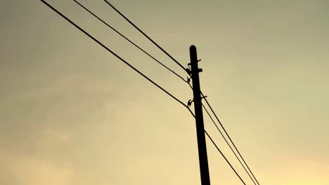 Electrical-line-grid-during-sunset