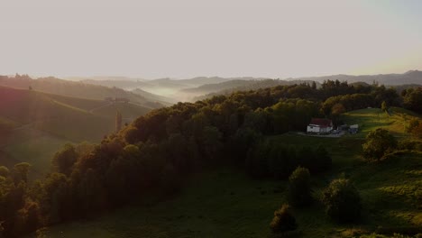 Grüner-Wald-In-Österreich,-Sonnenaufgang,-Filmischer-Drohnenschuss