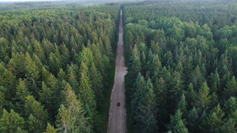 Aerial-of-four-wheeler-in-forest