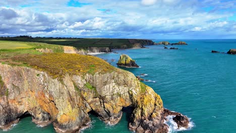 Drone-flying-over-headland-with-sea-caves-yellow-flowers-and-sea-stacks-and-sea-cliffs-with-coastal-erosion-emerald-green-seas-and-dramatic-views-Waterford-coast-Ireland