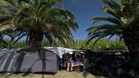 People-at-the-flea-market-buying-cheap-clothes-and-accessories-at-street-stalls-among-the-palm-trees-on-the-street,-makeshift-tents-on-a-sunny-summer-morning,-shot-blocked