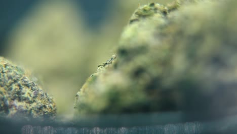 Makro-Rotationsvideo-Einer-Cannabispflanze,-Hybridsorten,-Sativa,-Purple-Haze,-Marihuanablüte,-4K-Video,-Studiobeleuchtung,-Magische-Unschärfe,-Sanfte-Aufwärtsbewegung