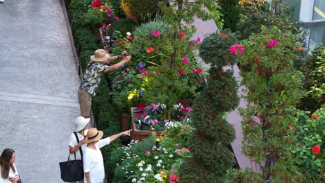 People-walking-in-the-glass-greenhouse-Flower-Dome-conservatory-at-Gardens-by-the-bay,-admiring-various-seasonal-flowers-on-display