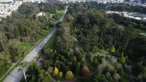 Golden-Gate-Park,-San-Francisco-CA-USA,-Aerial-View-of-Green-Landscape-Trees-and-Pathway