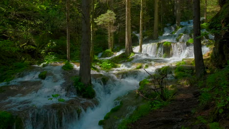 Cascades-and-waterfalls-on-a-mountain-river-flowing-through-a-pine-forest