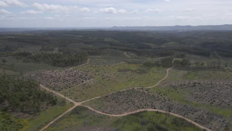 Luftaufnahme-Der-Proença-a-Nova-Landschaft