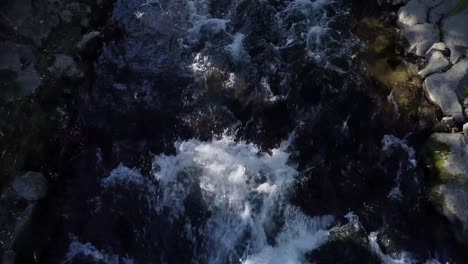 River-with-stones-and-trees-byside	cinematic