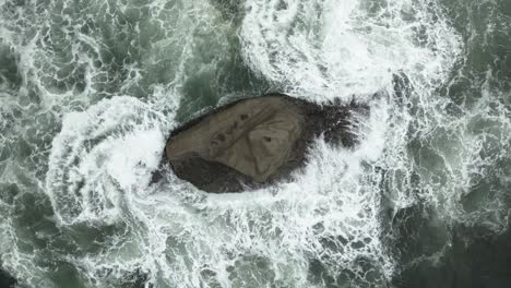 Beobachten-Sie-Aus-Einer-Festen-Draufsicht-Die-Küstenlandschaft-Von-Cape-Kiwanda-Und-Pacific-City-Beach-In-Oregon,-USA