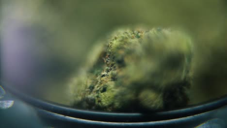 Macro-smooth-video-of-a-cannabis-plant,-hybrid-strains,-sativa,-marijuana-flower,-on-a-rotating-stand,-slow-motion-120-fps,-studio-lighting,-dreamy-glow