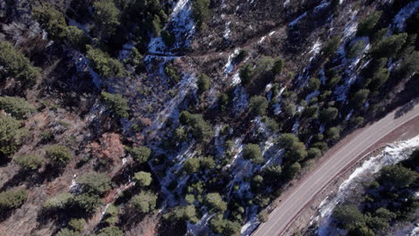 Aerial-top-down-of-dense-pine-forest-in-winter-along-a-mountain-highway