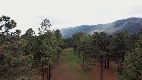 Drone-Avanzando-Sobre-Un-Hermoso-Bosque-Con-Montañas-Al-Fondo