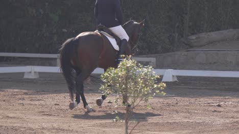 Man-competing-in-dressage,-Olympic-horse-riding-discipline