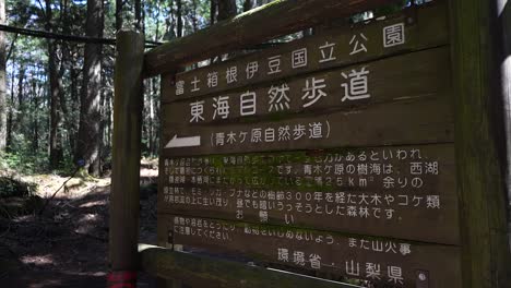 Aokigahara-Wald,-Meer-Aus-Bäumen-Oder-Selbstmordwald,-Fuji