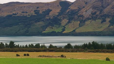 Der-Hubschrauber-Schwebt-über-Dem-Lake-Wakatipu-Und-Erkundet-Die-Natürliche-Schönheit-Von-Glenorchy