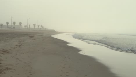 Vista-Estática-De-Una-Playa-En-La-Niebla-Con-Un-Hombre-A-Lo-Lejos-Paseando-A-Su-Perro.