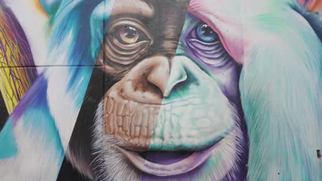 Impresionante-Mural-De-La-Comuna-13-De-Una-Colorida-Y-Expresiva-Cara-De-Mono,-Medellín,-Colombia