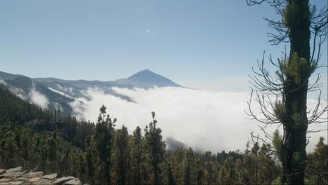 Timelapse-from-pine-forest-with-Pico-del-Teide-volcano-on-Tenerife,-Canary-Islands-in-spring