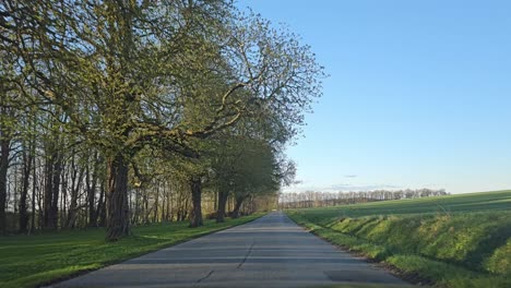 POV-drive-in-rural-Denmark