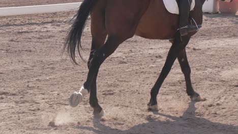 Slow-motion-of-horse-trotting-in-dressage-competition