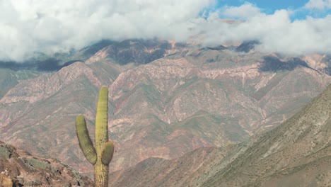 A-solitary-cactus-atop-a-towering-mountain-amidst-the-Andes