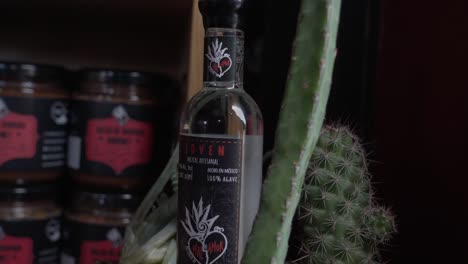 Botella-De-Tequila-Mezcal-En-Medio-De-Un-Grupo-De-Cactus-En-Una-Maceta-Rústica-De-Terracota.