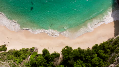 People-on-white-beach-of-Kelingking-Beach,-Nusa-Penida-island,-Bali-in-Indonesia