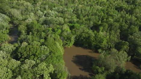 Wolf-River-Creek-Con-Vastos-Y-Densos-Matorrales-Cerca-De-Collierville-Tennessee,-Estados-Unidos