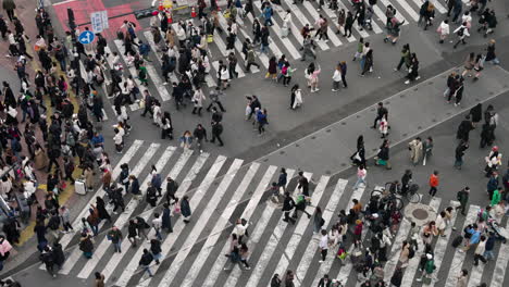 Pedestrians-Cross-The-Shibuya-Scramble-Crosswalk-In-Tokyo,-Japan---High-Angle-Shot