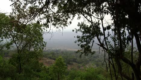 View-of-African-Savannah-through-the-trees