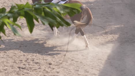 Woman-rides-horse-galloping-in-equestrian-competition-training-field