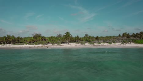 From-the-sandy-beaches-of-Riviera-Maya-to-the-boundless-sea,-drone-capturing-the-beauty-of-island-trees-and-the-expansive-ocean-vista-in-one-breathtaking-view