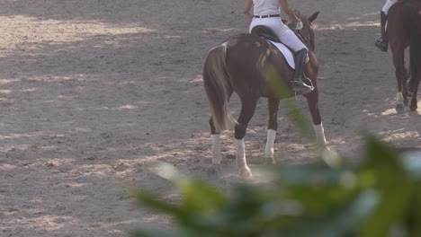 Reiter-Reiten-Pferde-Im-Dressurtraining-Im-Reitclub