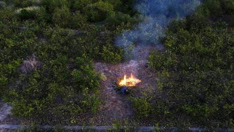 Feuer-Auf-Einem-Zitronenbaum-Agrarfeld