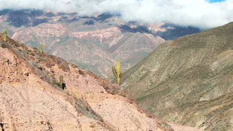 Vista-Cercana-De-Cactus-En-La-Cima-De-Una-Montaña-En-Medio-De-Los-Andes-En-Jujuy,-Argentina