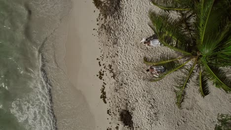 Indulge-in-beachside-relaxation-in-Riviera-Maya,-Mexico,-as-drone-footage-captures-two-people-enjoying-massages-under-a-swaying-coconut-tree,-with-soothing-waves-gently-lapping-at-the-shore