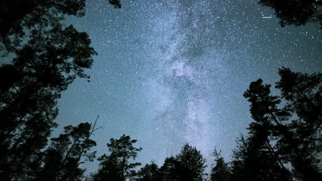 Experience-the-wondrous-awe-of-the-milky-way-bands-between-forest-trees